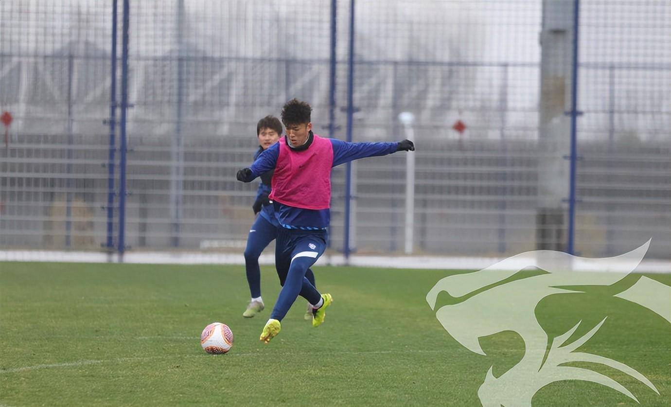 武汉三镇迎全明星赛关键赛，窗口期再遭质疑，引发热议，纪律约束更严格的简单介绍-九游体育官网